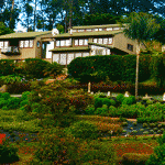 Aromatherapy Foundation of Maui and its garden